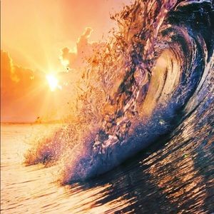 Meet your Posher, Kaylee